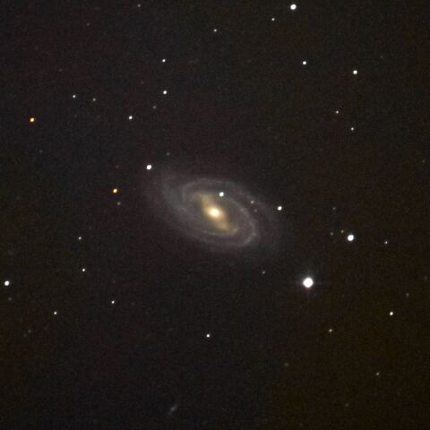 M109 Jan. 2024