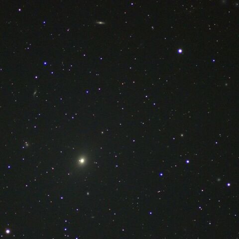 M49周辺 Mar. 2024