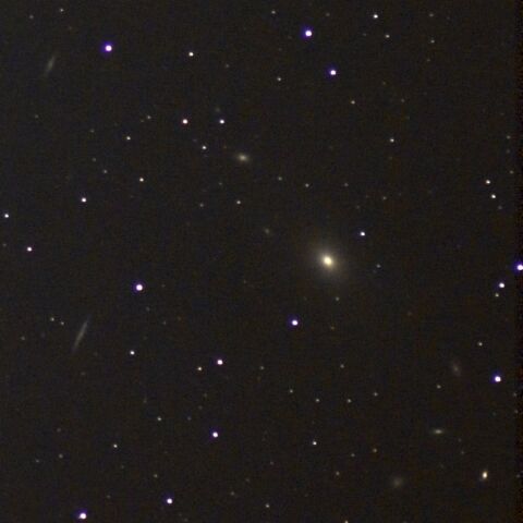 NGC4365周辺 Mar. 2024