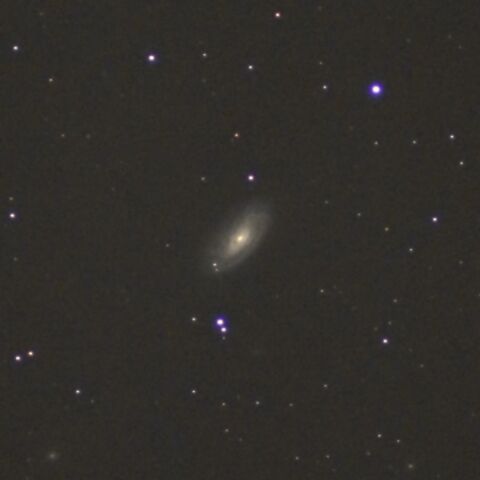 M88 Mar. 2024