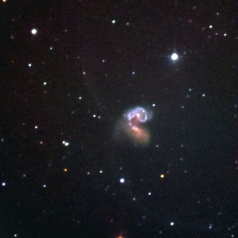 94213: NGC4038/4039 アンテナ銀河 by Yoshikawa_Tohru - 天体