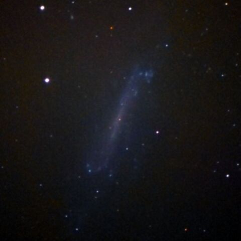 NGC4236 May 2024