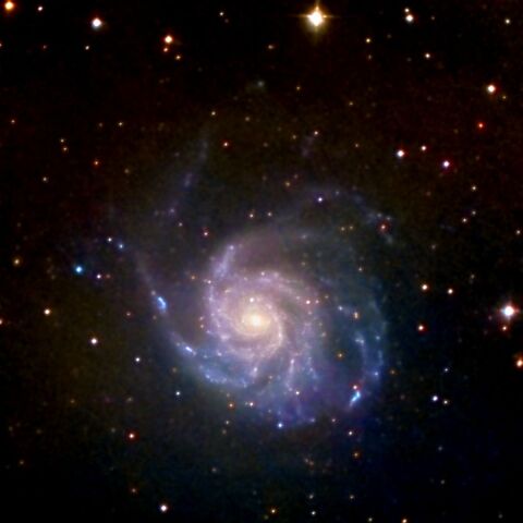 M101 May 2024