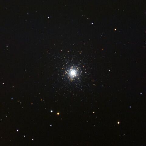 M53 May 2024