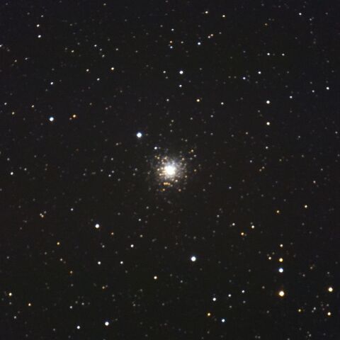 M80 May 2024