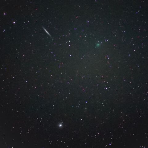 333P 11/30未明