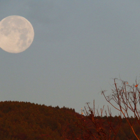 コールドムーンの入り