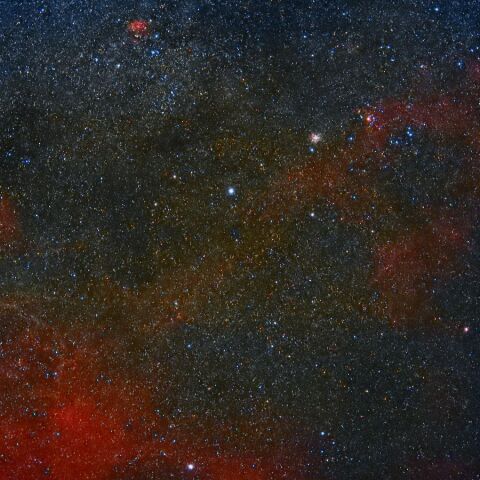 Gum12北部 Nov. 2024