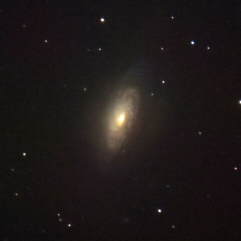 NGC3521 Feb. 2025