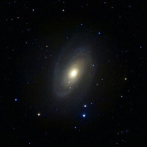 M81#1 Feb. 2025