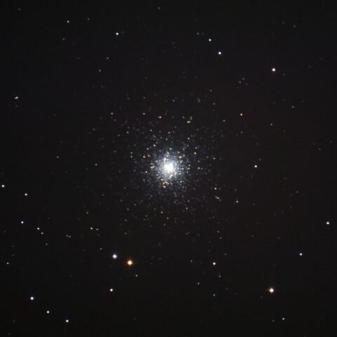 M53 Feb. 2025