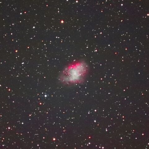 M1 Feb. 2025