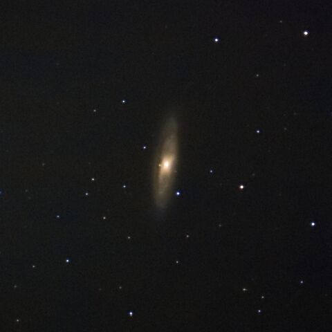 M65 Feb. 2025