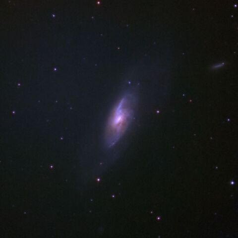 105021: NGC4631 Jan. 2024 by PbO - 天体写真ギャラリー 105021: NGC4631 Jan. 2024 by PbO - 天体写真ギャラリー