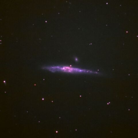 NGC4631 Feb. 2025