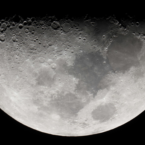 1/19月齢7.7偶然Ｘ