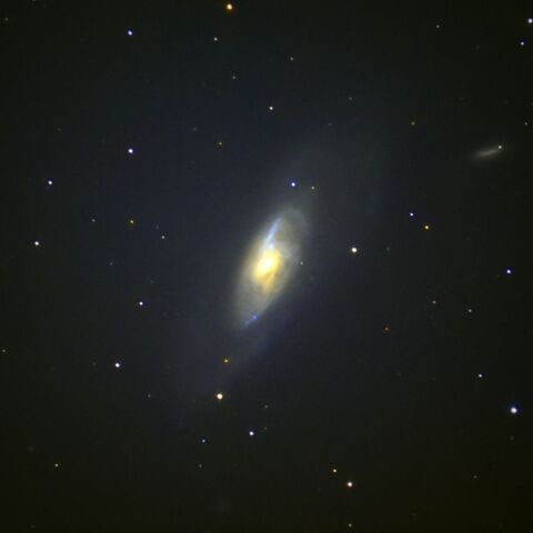 M106 Apr. 2025