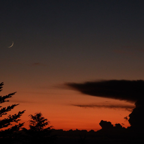 繊月と金床雲 7/26夕