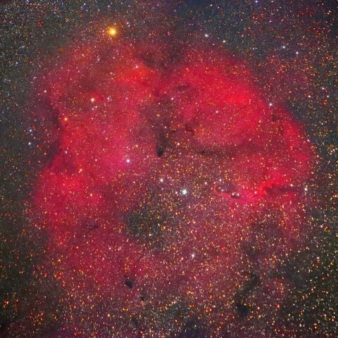 【美品】宇宙 天文 星空 写真集 Astronomy Photographer 103645: NGC2170 The Angel Nebula by バークレー - 天体写真