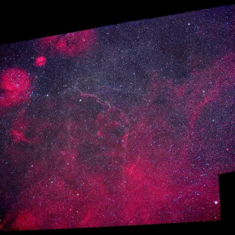 ガム星雲北東部 Nov. 2025