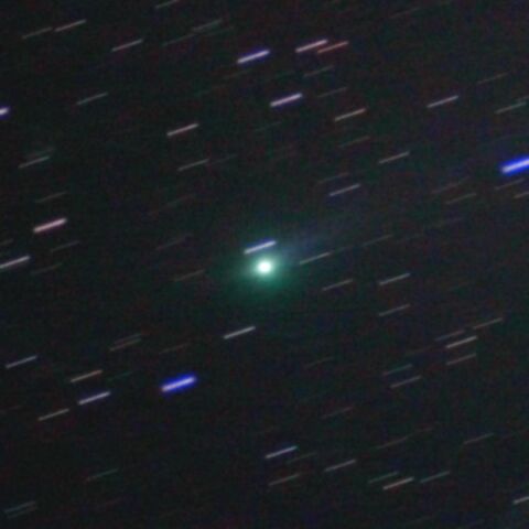 3I 11/21未明 再処理