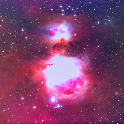 M42周辺 Jan. 2026