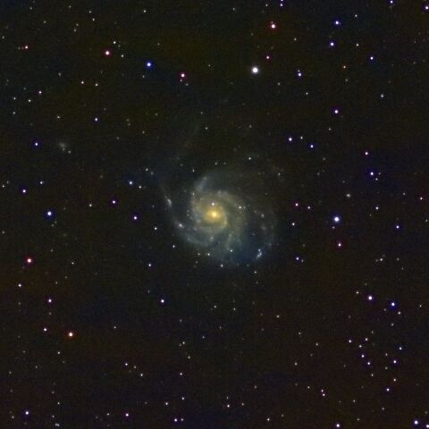 M101 Jan. 2026