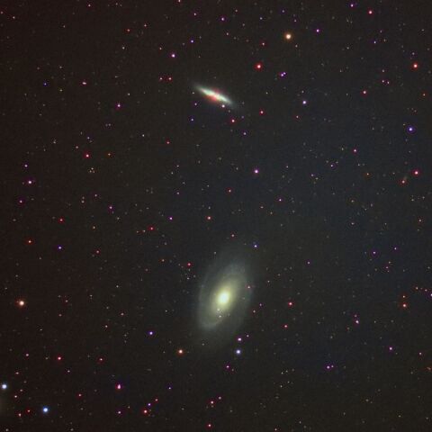 M81&82 Feb. 2026
