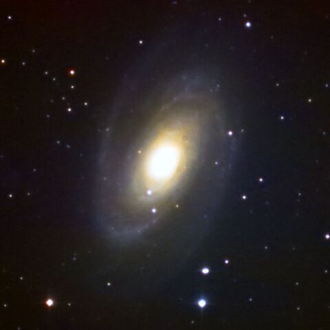 M81 Mar. 2026
