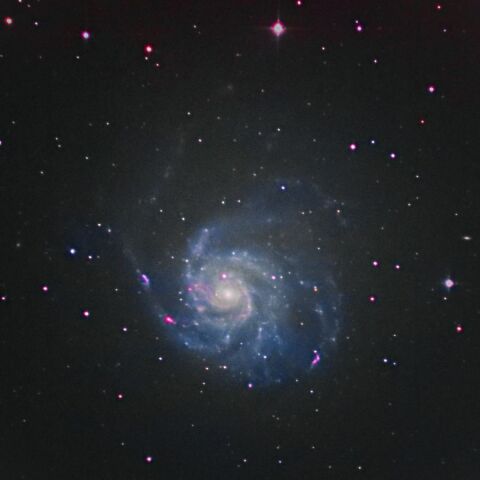 M101 Mar. 2026
