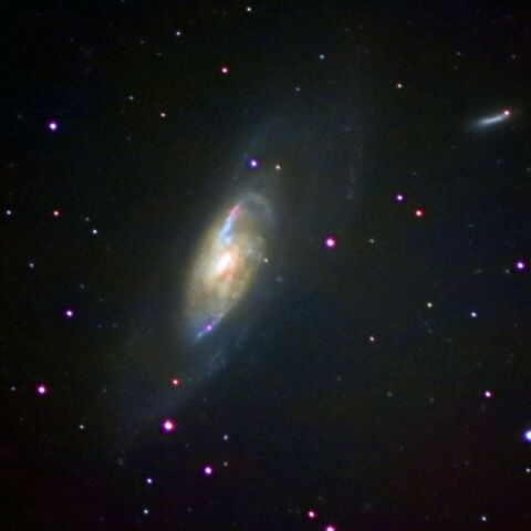 M106 Mar. 2026