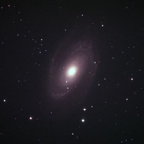 M81 Apr. 2026