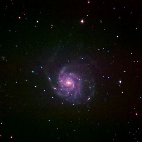 M101QBP Apr. 2026