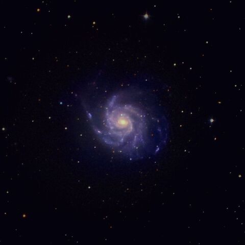 M101 Apr. 2026