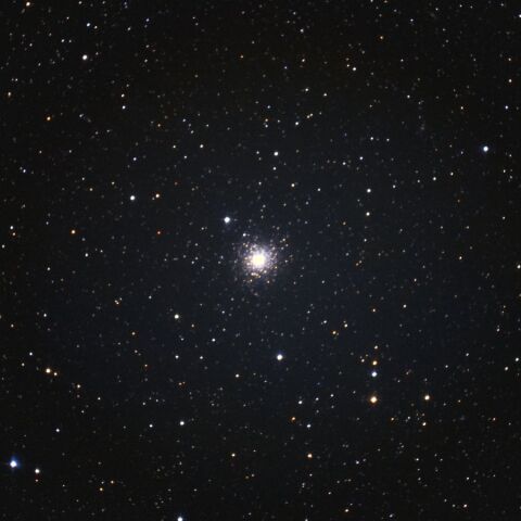 M80 Apr. 2026