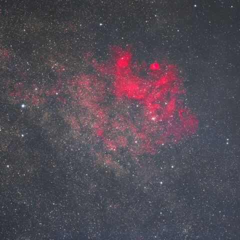 Sh2-54 Sep. 2026