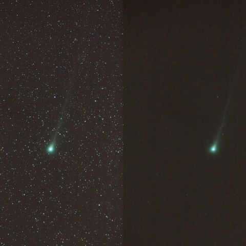 11/13未明Lovejoy #1