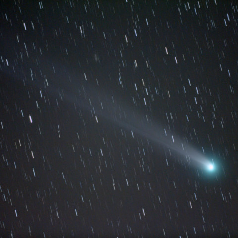 12/1未明Lovejoy #1