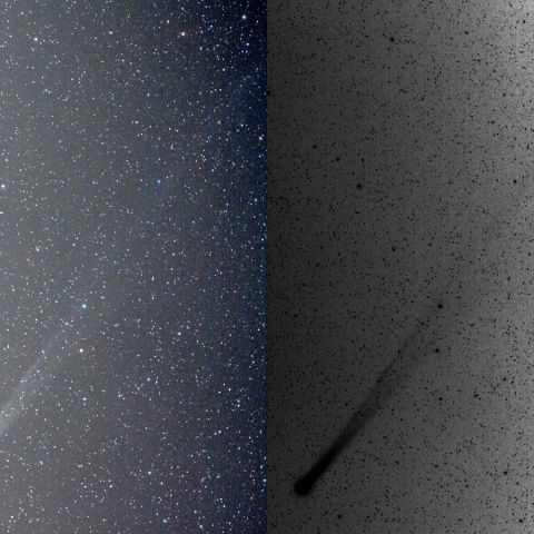 12/1未明Lovejoy #2