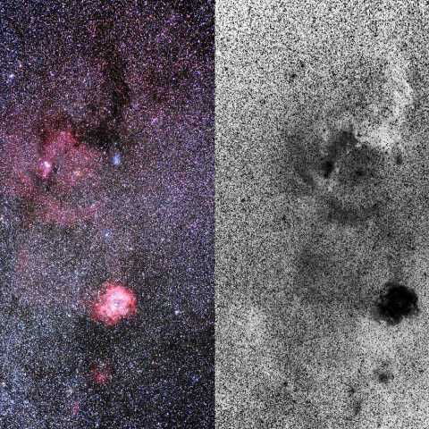 バラ星雲付近のHII領域