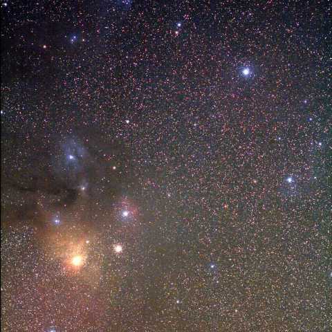 さそり頭部 Apr.2014