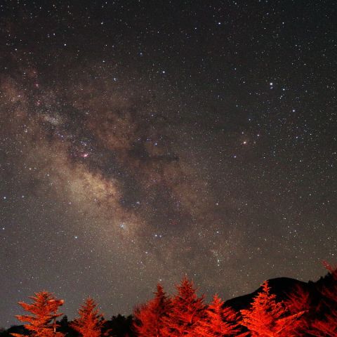 サソリと夏の銀河#1