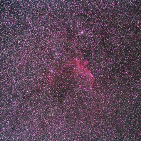 IC2177 Nov.2014