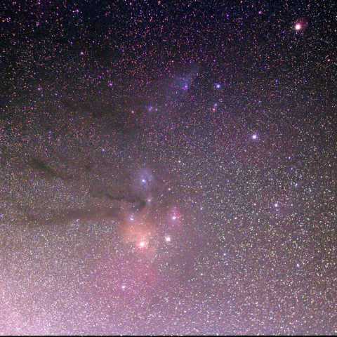 さそり頭部 Jul.2015