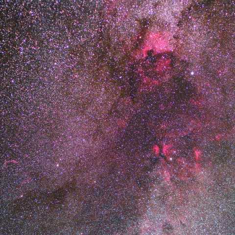 白鳥片翼 Sep.2015