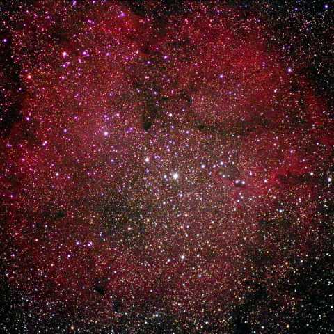 IC1396 (100SDUF) Oct.2015