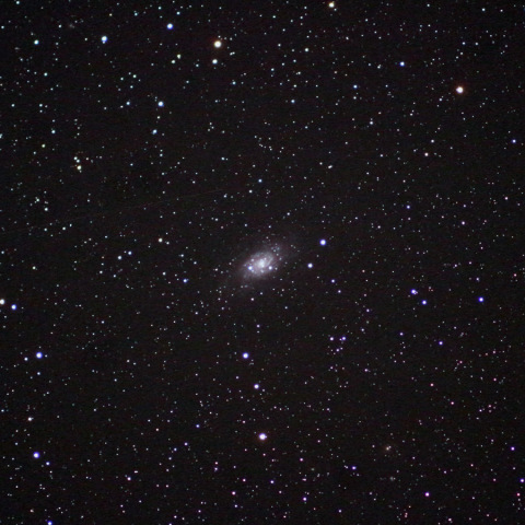 NGC2403 (100SDUF) Oct.2015