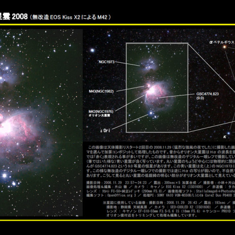 オリオン大星雲2008