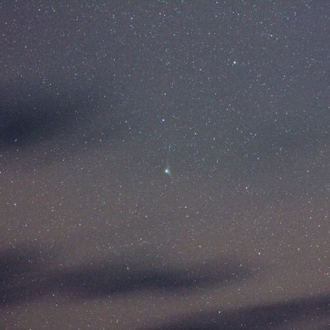 12/19未明Catalina#1