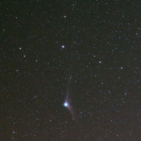 12/19未明Catalina#2